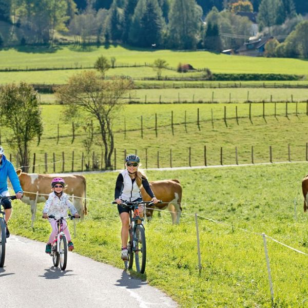 Unterwegs mit der ganzen Familie am Murradweg