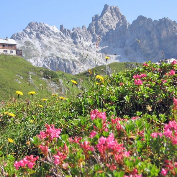 Wanderung zur Fischerhütte am Faulkogel