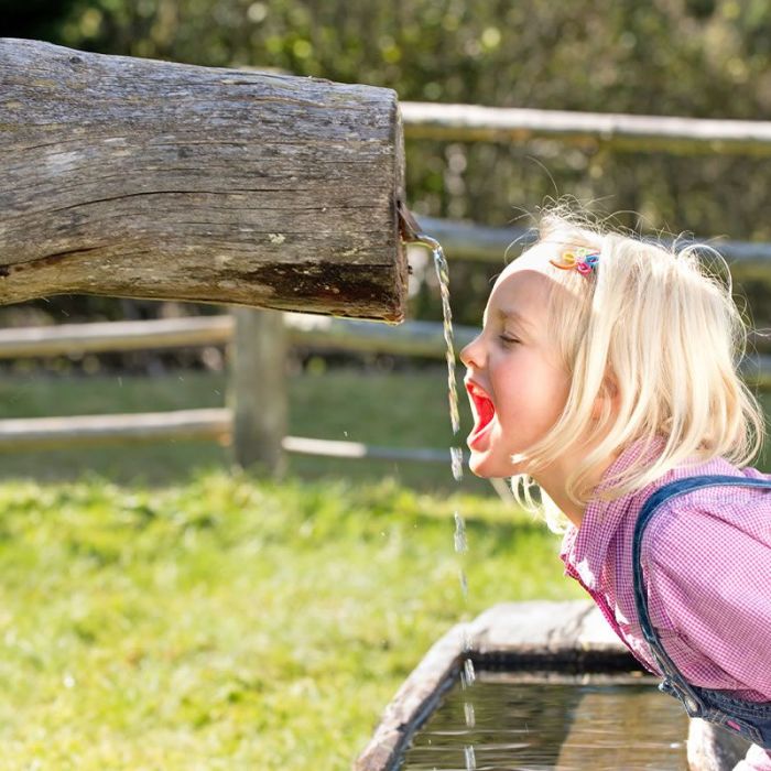 Familienurlaub im Blasiwirt im Lungau