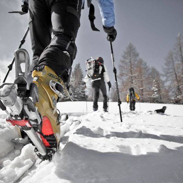 Unterwegs durch herrliche Winterlandschaften - dem Gipfel entgegen