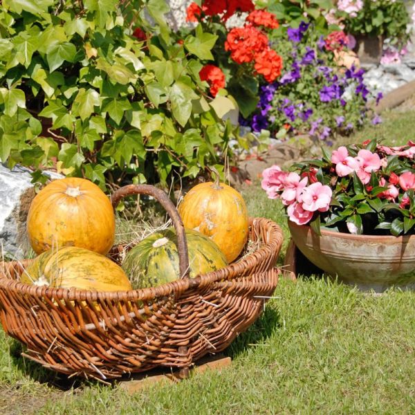 Liebevoll dekorierter Garten